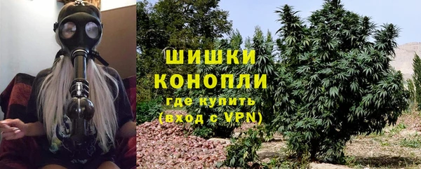 индика Медногорск