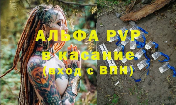 индика Медногорск