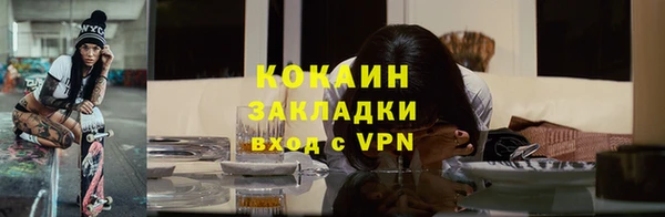 индика Медногорск