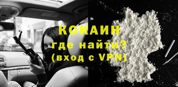 индика Медногорск