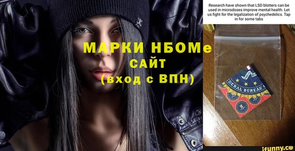 индика Медногорск