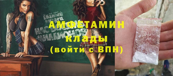 индика Медногорск