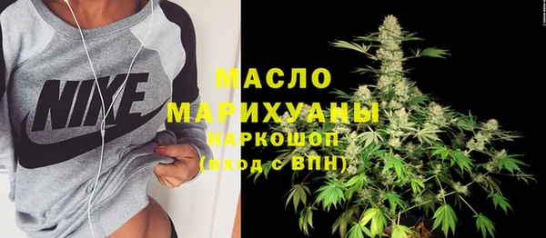 индика Медногорск