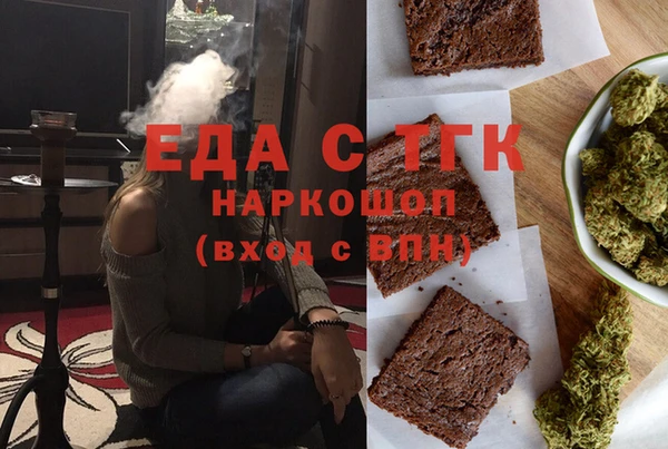 индика Медногорск