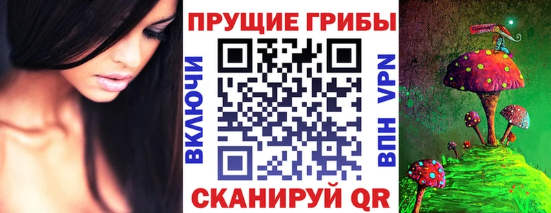 как найти закладки  ОМГ ОМГ ссылки  Галлюциногенные грибы Magic Shrooms  Нарьян-Мар 